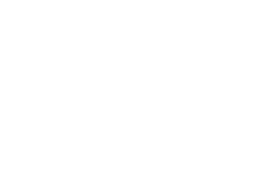 The Dirt Network logo